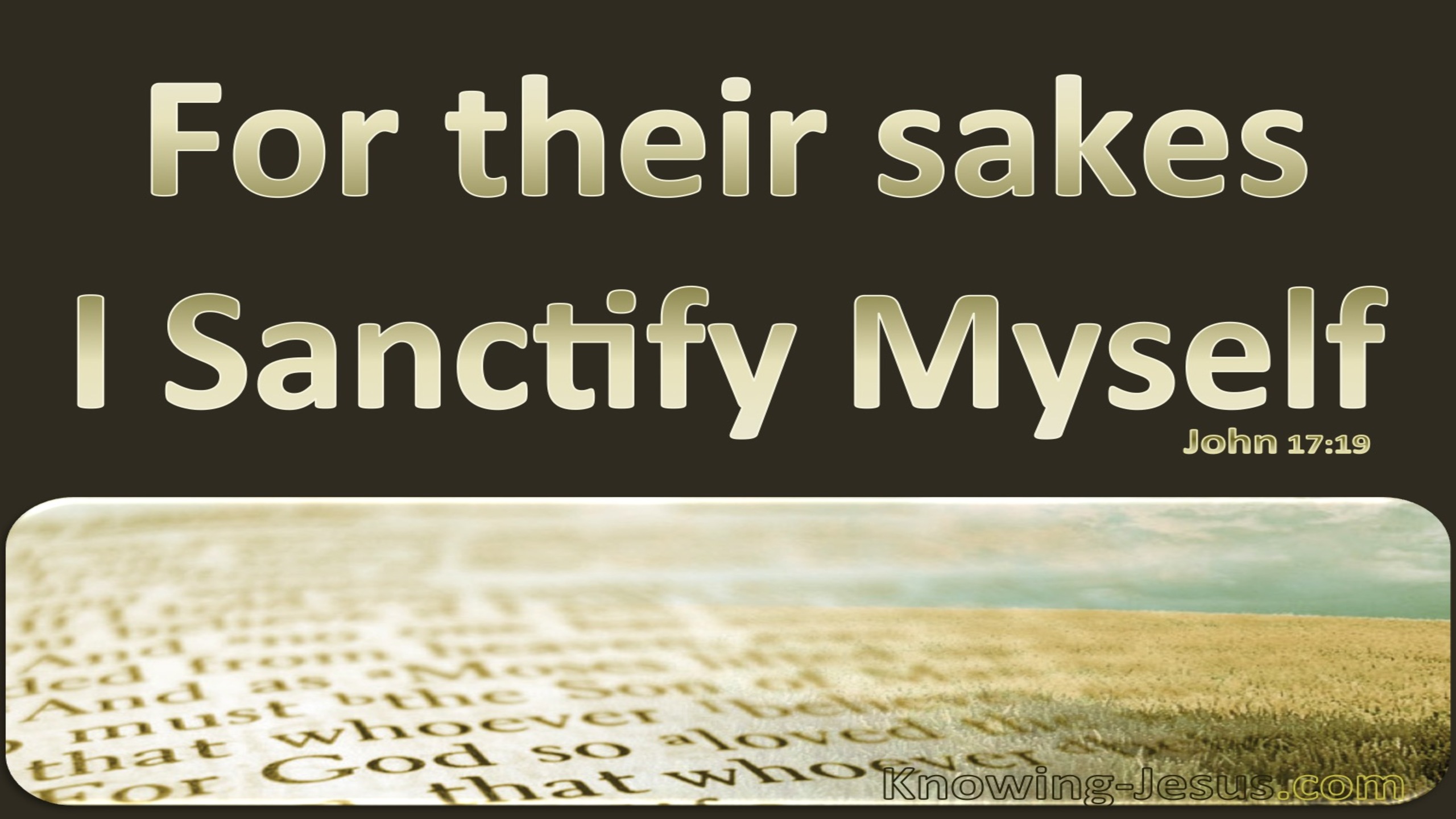 John 17:19 For Their Sakes I Sanctify Myself (brown)